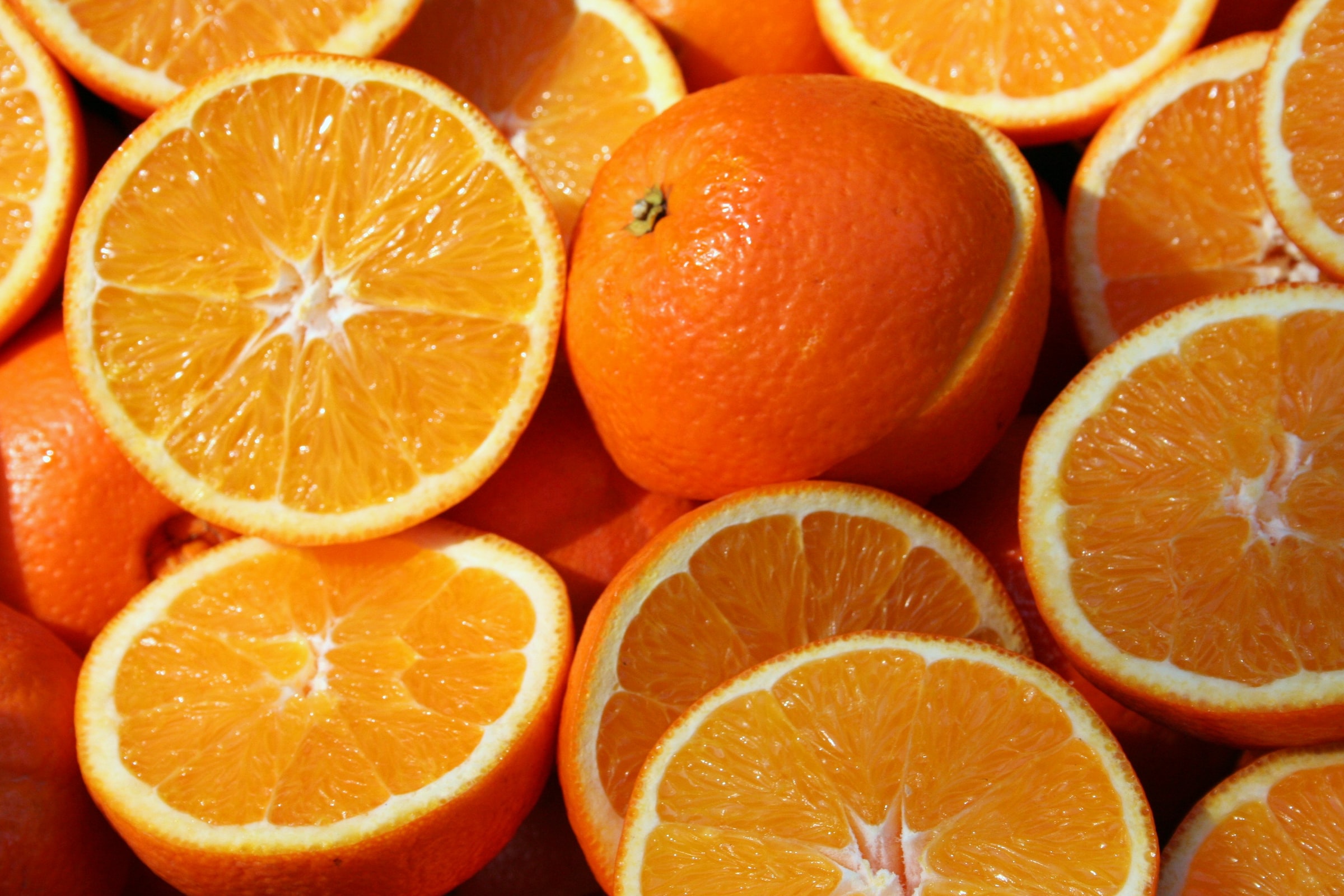 Vier Reihen von jeweils fünf aufgeschnittenen Orangen, welche vor einem gelben Hintergrund mit der aufgeschnittenen Seite zum Betrachter zeigen.